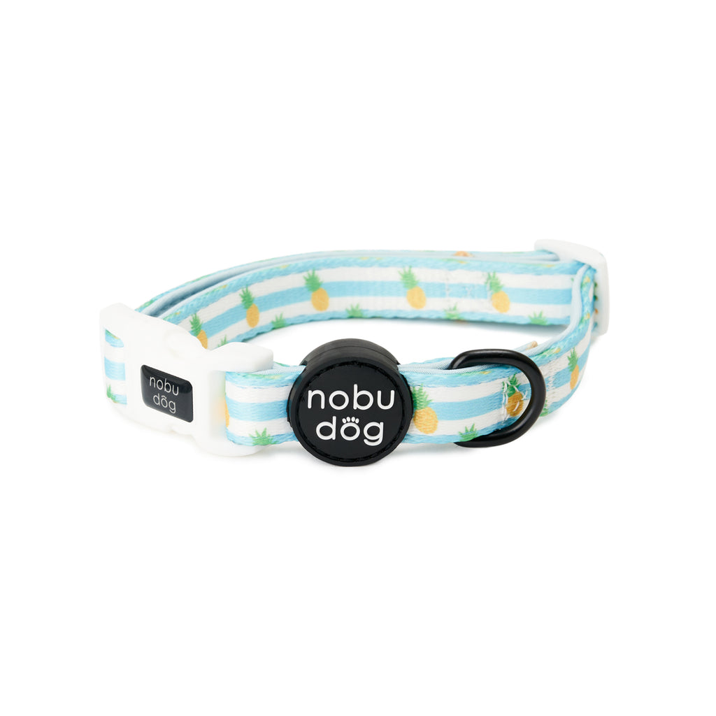 Cappy Pineapple Dog Collar • Nobu Dog • Collar