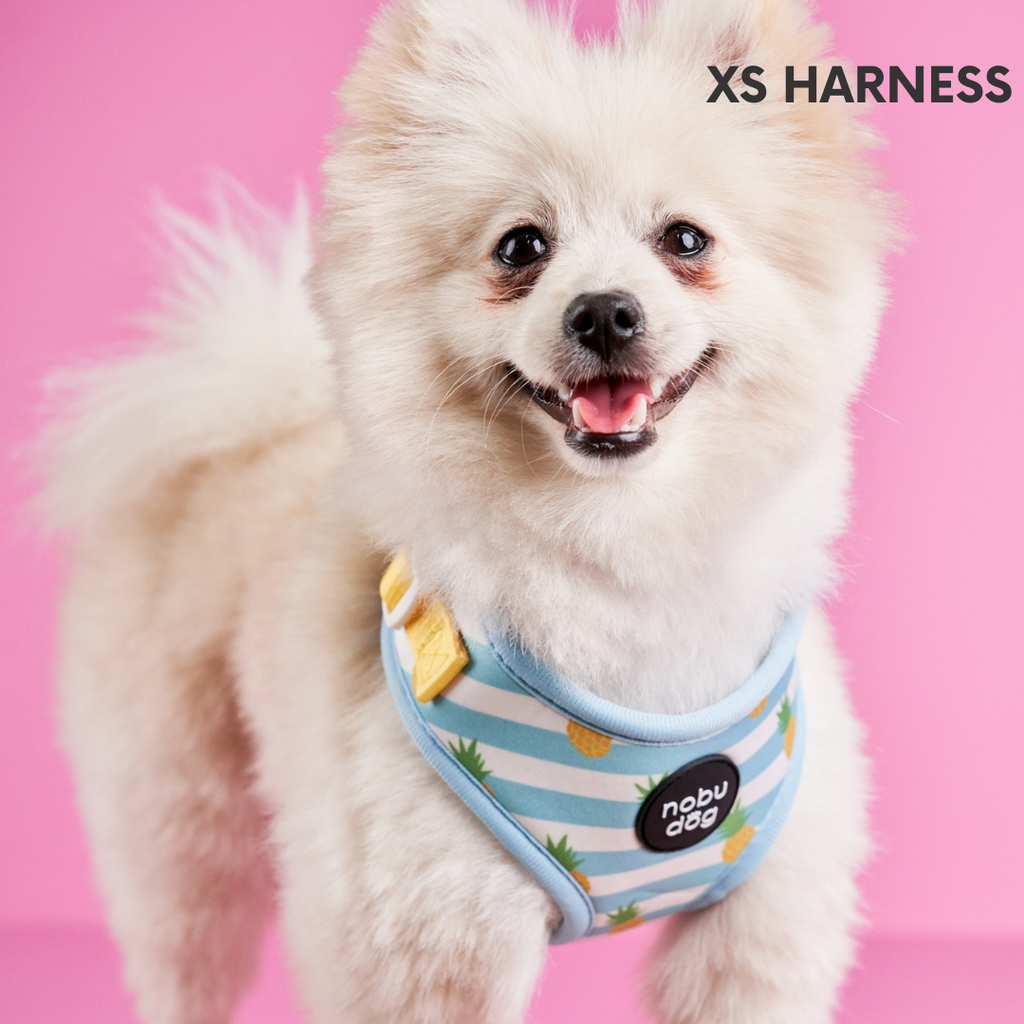 Cappy Pineapple Adjustable Dog Harness • Nobu Dog • Harness