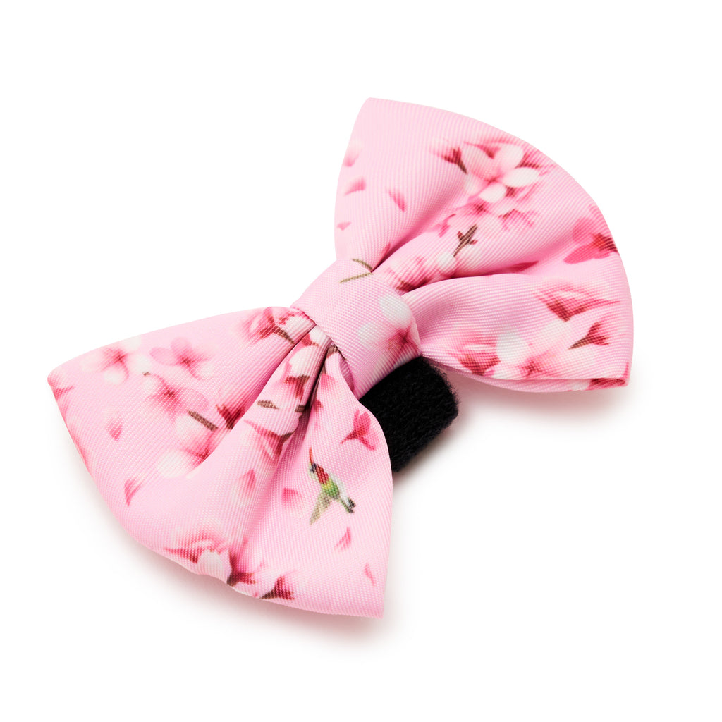 Cherry Blossom Dog Bow Tie • Nobu Dog • Bow Tie